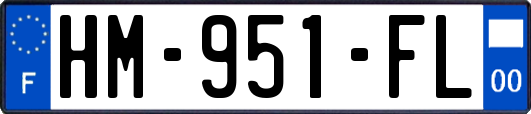 HM-951-FL