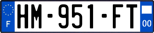 HM-951-FT