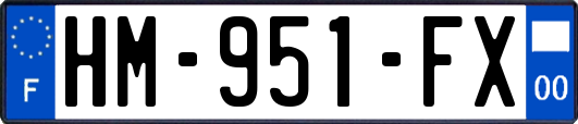 HM-951-FX