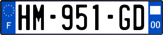 HM-951-GD