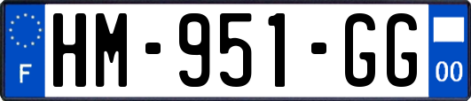HM-951-GG