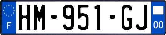 HM-951-GJ