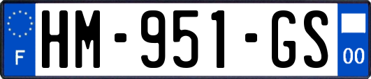 HM-951-GS