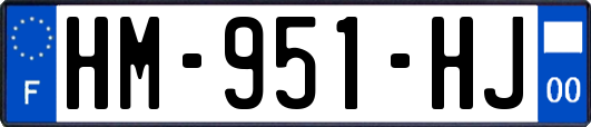 HM-951-HJ