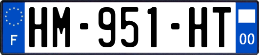 HM-951-HT