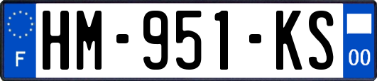 HM-951-KS