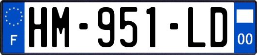 HM-951-LD