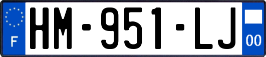 HM-951-LJ