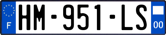 HM-951-LS