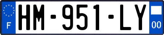 HM-951-LY