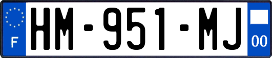 HM-951-MJ