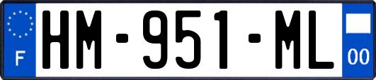 HM-951-ML
