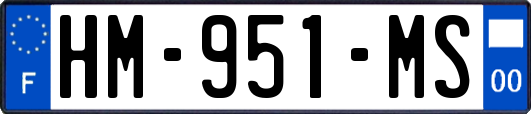 HM-951-MS