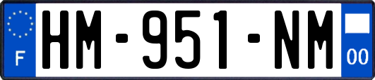 HM-951-NM