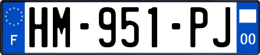 HM-951-PJ