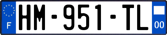 HM-951-TL