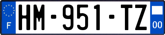 HM-951-TZ
