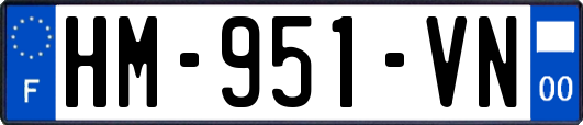 HM-951-VN
