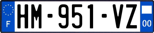 HM-951-VZ