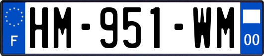 HM-951-WM