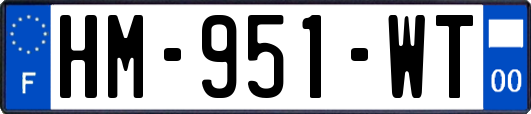 HM-951-WT
