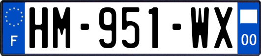 HM-951-WX
