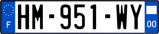 HM-951-WY