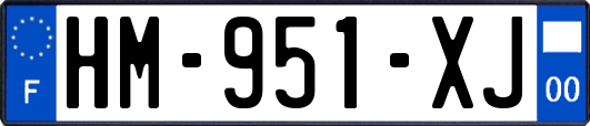 HM-951-XJ
