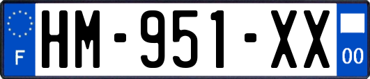 HM-951-XX