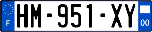 HM-951-XY
