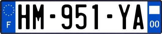 HM-951-YA