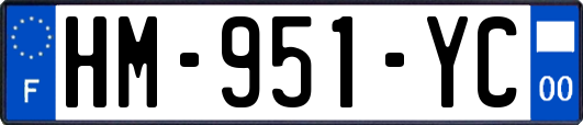 HM-951-YC