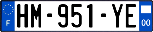HM-951-YE