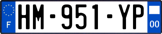 HM-951-YP