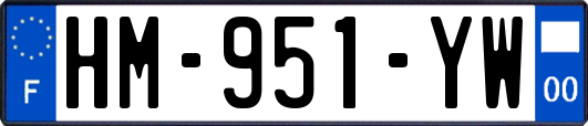 HM-951-YW
