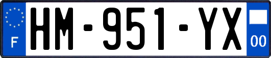 HM-951-YX