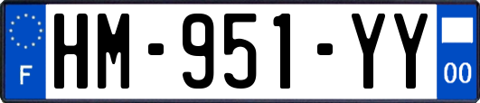 HM-951-YY
