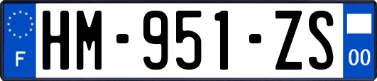 HM-951-ZS