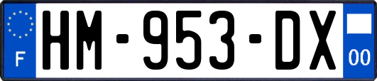 HM-953-DX