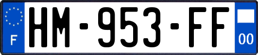 HM-953-FF
