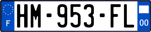 HM-953-FL