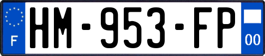 HM-953-FP