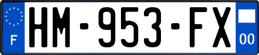 HM-953-FX