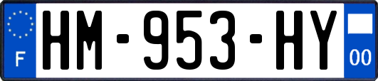 HM-953-HY