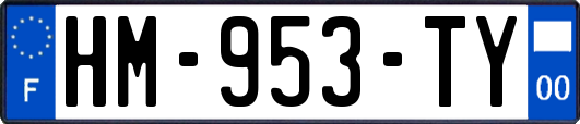 HM-953-TY