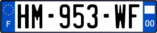 HM-953-WF