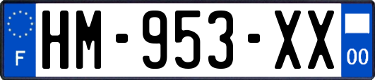 HM-953-XX