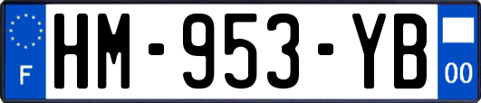 HM-953-YB