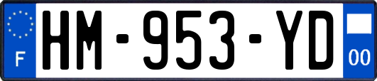 HM-953-YD