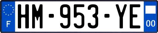 HM-953-YE